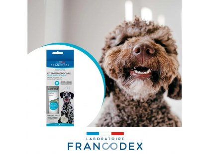 Фото 4 -  для зубів та пащі Francodex Enzymatic Toothpaste набір для чищення зубів