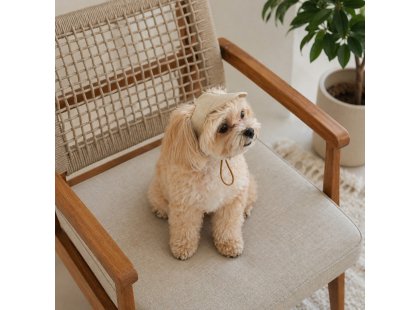 Фото 6 -  одяг Pet Fashion Glamour кепка для собак