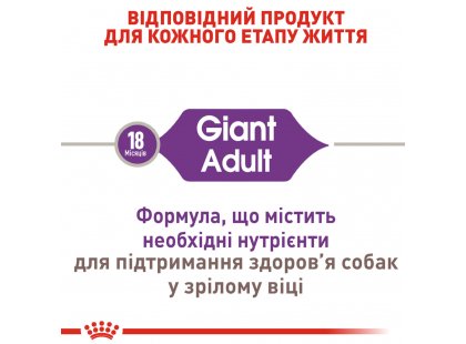 Фото - сухой корм Royal Canin GIANT ADULT (СОБАКИ ГИГАНТСКИХ ПОРОД ЭДАЛТ) корм для собак от 18 месяцев