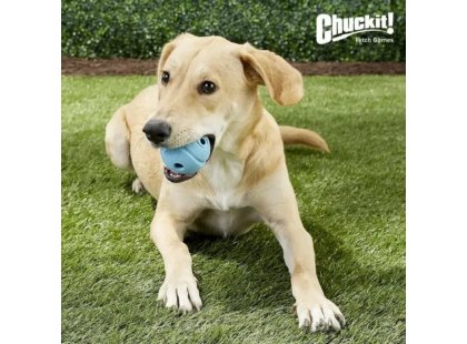 Фото 3 -  игрушки CHUCKIT The Whistler игрушка для собак СВИСТЯЩИЙ МЯЧ, голубой