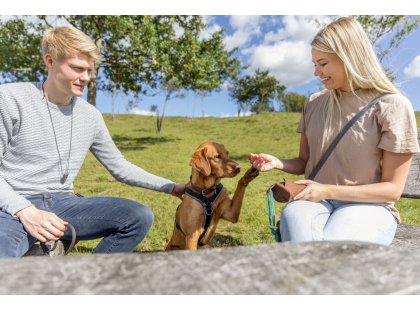 Фото 3 -  дресирування та спорт Trixie Preydummy апорт-сумка для дресирування, коричневий