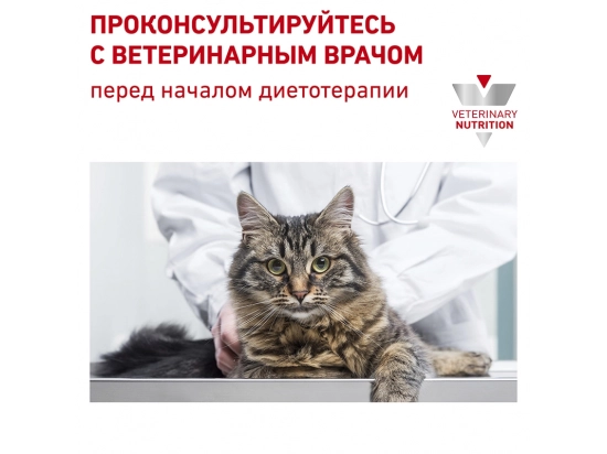 Фото - ветеринарні корми Royal Canin EARLY RENAL FELINE корм для кішок при ранній стадії ниркової недостатності