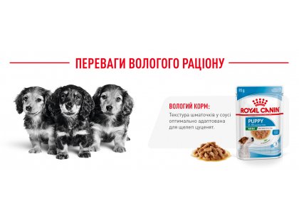 Фото 12 -  вологий корм (консерви) Royal Canin MINI PUPPY вологий корм для цуценят дрібних порід від 2 до 10 місяців