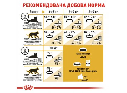 Фото - сухой корм Royal Canin MAINE COON (МЕЙН-КУН) корм для кошек от 1 года