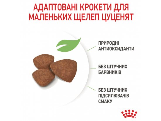 Фото - сухий корм Royal Canin MINI PUPPY корм для цуценят дрібних порід від 2 до 10 місяців