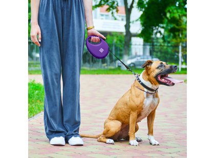 Фото 4 -  рулетки WAUDOG R-leash поводок рулетка с контейнером для пакетов, светоотражающая лента, фиолетовый
