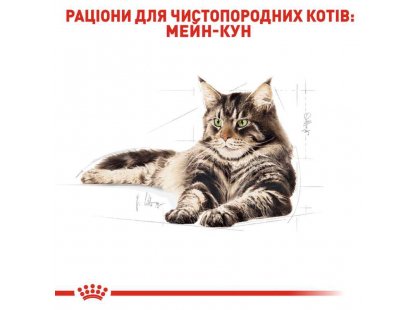 Фото - влажный корм (консервы) Royal Canin MAINE COON ADULT влажный корм для кошек породы мей-кун