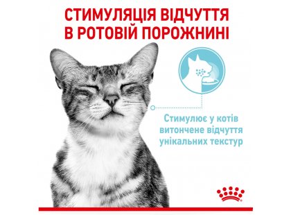 Фото - вологий корм (консерви) Royal Canin SENSORY FEEL GRAVY консерви для вибагливих кішок