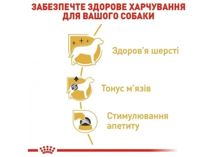 Фото 3 -  влажный корм (консервы) Royal Canin POODLE LOAF (ПУДЕЛЬ) влажный корм для собак