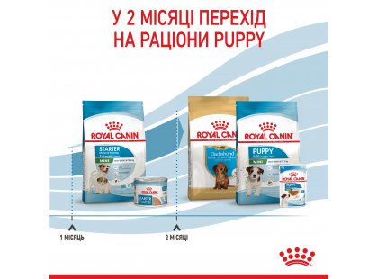 Фото 14 -  сухой корм Royal Canin MINI STARTER MOTHER & BABYDOG корм для беременных и кормящих сук и щенков мини-пород