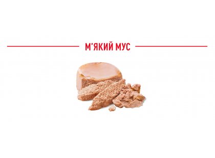 Фото 10 -  вологий корм (консерви) Royal Canin STARTER MOUSSE (СТАРТЕР МУС) вологий корм для цуценят та сук при вагітності та лактації