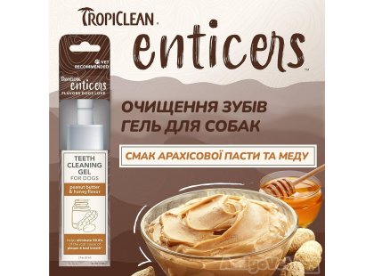 Фото - для зубов и пасти Tropiclean ENTICERS PEANUT BUTTER & HONEY гель для чистки зубов собак АРАХИСОВОЕ МАСЛО И МЁД