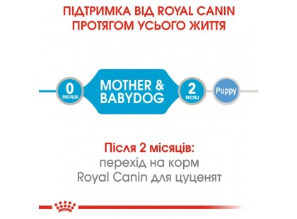 Фото - влажный корм (консервы) Royal Canin STARTER MOUSSE (СТАРТЕР МУС) влажный корм для щенков и сук при беременности и лактации