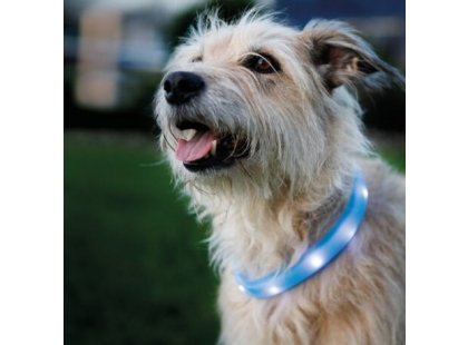 Фото - Trixie Flash Light USB нашийник, що світиться,  з силікону, синій амуніція Trixie Flash Light USB нашийник, що світиться,  з силікону, синій