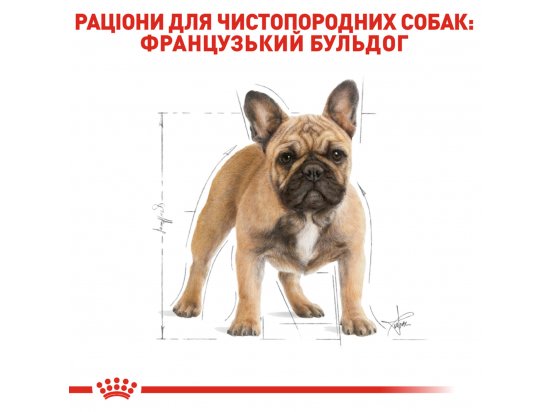 Фото - сухой корм Royal Canin FRENCH BULLDOG ADULT (ФРЕНЧ БУЛЬДОГ ЭДАЛТ) корм для собак от 12 месяцев