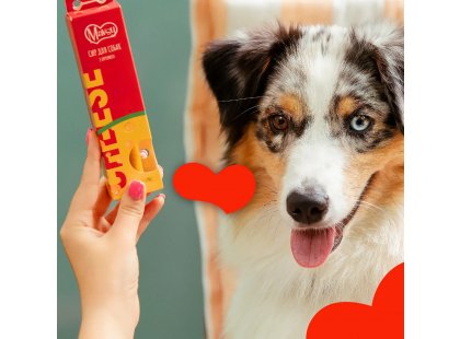 Фото 10 -  ласощі Mavsy Cheese Stick ласощі для собак СИР та КУРКУМА