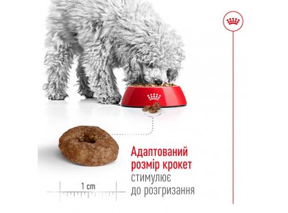 Фото 9 -  сухой корм Royal Canin MINI AGEING 12+ (СОБАКИ МЕЛКИХ ПОРОД ЭЙДЖИН 12+) корм для собак от 12 лет