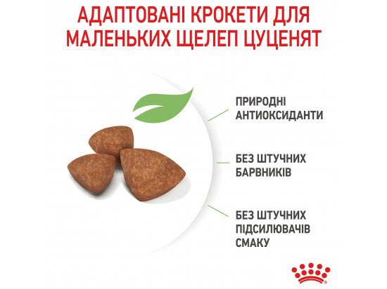 Фото - сухий корм Royal Canin X-SMALL PUPPY (ЦУЦЕНЯТА ДРІБНИХ ПОРОД) корм для цуценят до 10 місяців