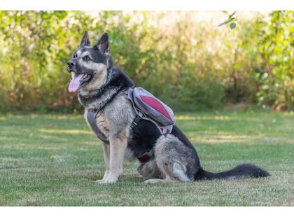 Фото 9 -  амуниция Voyager Pet Dog Bagpack cумка-седло для собак, красный с серым