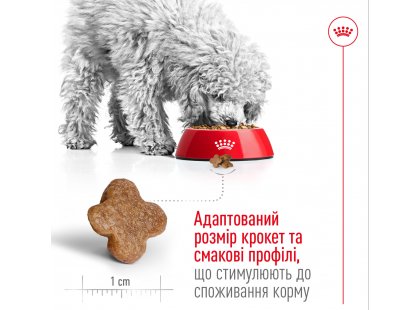 Фото 4 -  сухий корм Royal Canin MINI ADULT 8+ (СОБАКИ ДРІБНИХ ПОРІД ЕДАЛТ 8+) корм для собак від 8 років