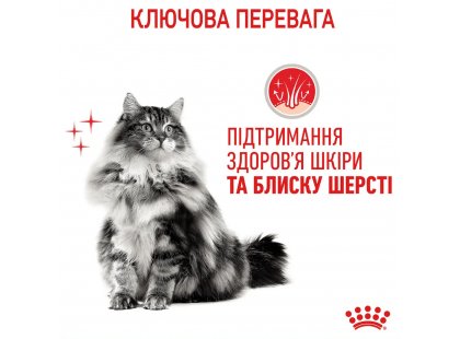 Фото 3 -  сухий корм Royal Canin HAIR&SKIN CARE (ХЕЙЄР ЕНД СКІН КЕА) сухий корм для дорослих кішок