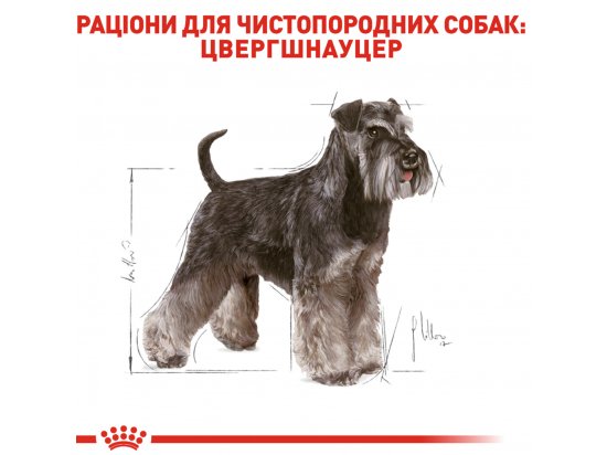 Фото - сухой корм Royal Canin MINIATURE SCHNAUZER ADULT (МИНИАТЮРЕ ШНАУЦЕР ЭДАЛТ) корм для собак от 10 месяцев