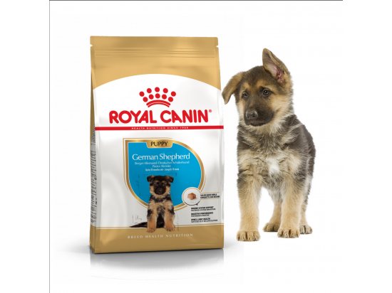 Фото - сухий корм Royal Canin GERMAN SHEPHERD PUPPY (НІМЕЦЬКА ВІВЧАРКА) корм для цуценята до 15 місяців