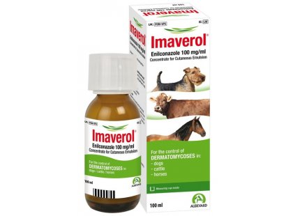 Фото - Elanco IMAVEROL (Имаверол) противогрибковый препарат широкого спектра действия противогрибковые препараты Elanco IMAVEROL (Имаверол) противогрибковый препарат широкого спектра действия