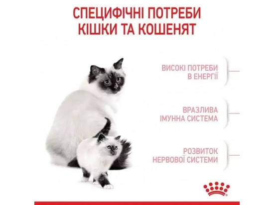 Фото 3 -  сухий корм Royal Canin Mother & Babycat (БЕБІКЕТ) сухий корм для кошенят 1-4 місяці, вагітних та лактуючих