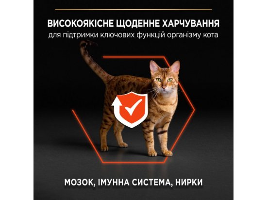 Фото - сухий корм Purina Pro Plan (Пурина Про План) Adult Vital Functions Salmon сухий корм для кішок ЛОСОСЬ