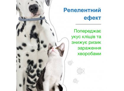 Фото 7 -  від бліх та кліщів Bayer Foresto (Форесто) - Нашийник від кліщів, бліх, вошей та власоїдів для котів та собак вагою менше 8 кг (захист 8 місяців)