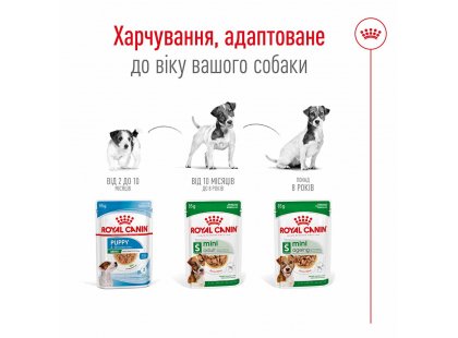 Фото 6 -  вологий корм (консерви) Royal Canin MINI ADULT вологий корм для дорослих собак дрібних порід від 10 місяців до 12 років