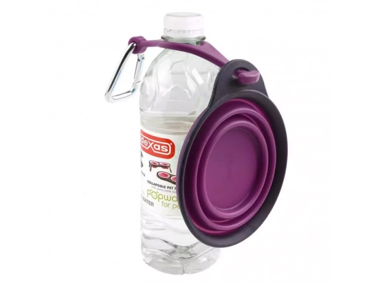 Фото - миски, поилки, фонтаны DEXAS Travel Cup with Bottle Holder & Carabiner - Миска складная для путешествий с карабином и фиксатором, пурпурный