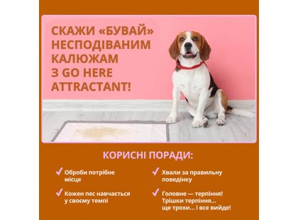 Фото 3 -  коррекция поведения OUT! Go Here Attractant Training Spray спрей для приучения к туалету для собак