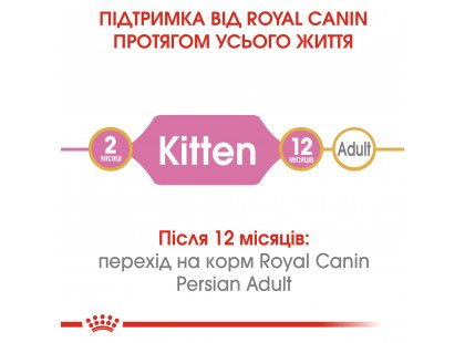 Фото 6 -  сухий корм Royal Canin KITTEN PERSIAN 32 (КІТТЕН ПЕРСІАН) корм для кошенят від 4-12 місяців