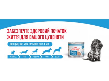 Фото 7 -  вологий корм (консерви) Royal Canin STARTER MOUSSE (СТАРТЕР МУС) вологий корм для цуценят та сук при вагітності та лактації