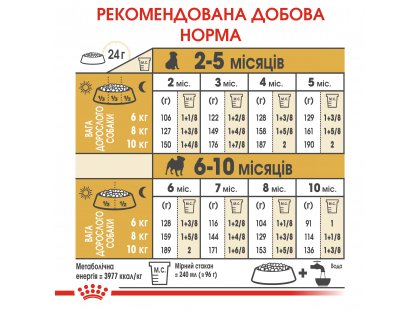 Фото 7 -  сухий корм Royal Canin PUG PUPPY (МОПС ПАППІ) корм для цуценята до 10 місяців
