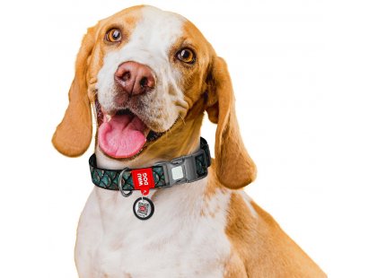 Фото 7 -  амуніція Collar WAUDOG Nylon нейлоновий нашийник для собак з QR-адресою, пластиковий фастекс, ЛУСКА