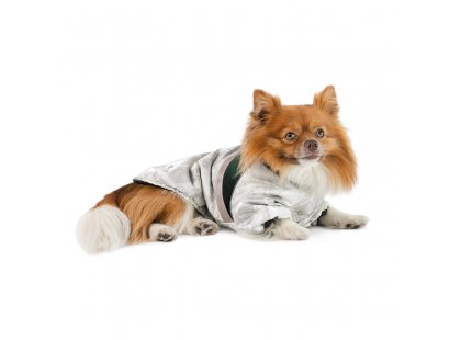 Фото 3 -  одежда Pet Fashion Bony куртка для собак, белый/зеленый