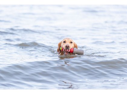 Фото - іграшки Trixie Плаваюча іграшка з канатом МАЯК