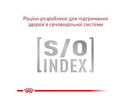 Фото 4 -  ветеринарні корми Royal Canin DIABETIC лікувальний вологий корм для собак при цукровому діабеті