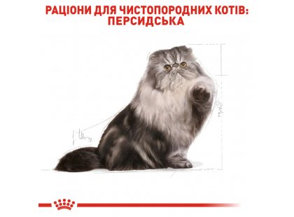 Фото - сухий корм Royal Canin PERSIAN (ПЕРСІАН) корм для котів від 1 року