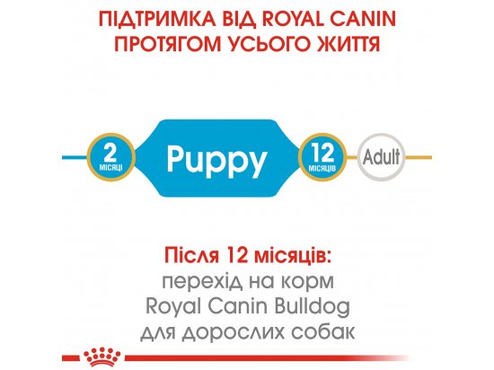 Фото - сухой корм Royal Canin FRENCH BULLDOG PUPPY (ФРАНЦУЗCКИЙ БУЛЬДОГ ПАППИ) корм для щенков до 12 месяцев