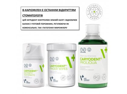 Фото 2 -  для зубов и пасти Vet Expert CaryoDent Enzymatic Spray энзимный спрей для гигиены пасти собак и кошек