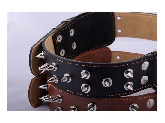 Фото 3 -  амуниция Collar (Коллар) ДВОЙНОЙ С ШИПАМИ ошейник для собак, кожа, черный