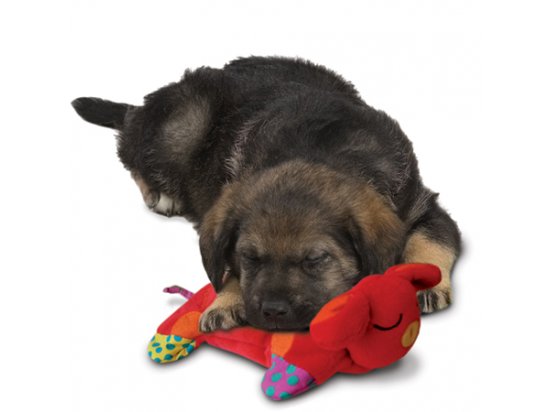 Фото 2 -  игрушки Petstages (Петстейджес) Puppy Cuddle Pal ЩЕНОК-ГРЕЛКА для сладкого сна - игрушка для собак