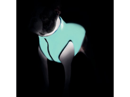 Фото 2 -  одяг Collar (Колар) AIRY VEST LUMI двостороння куртка для собак ЯКА СВІТИТЬСЯ, салатово-блакитна