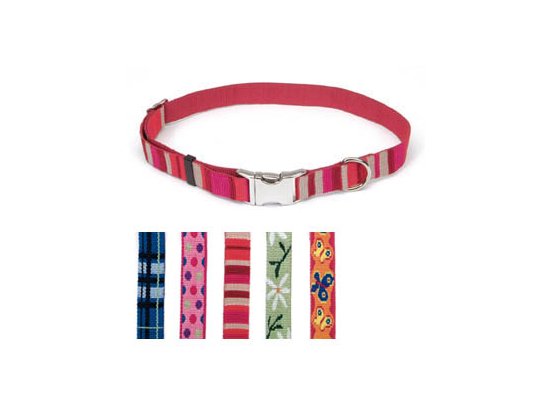 Фото - Coastal (Костал) Pet Attire Weave нашийник для собак амуніція Coastal (Костал) Pet Attire Weave нашийник для собак