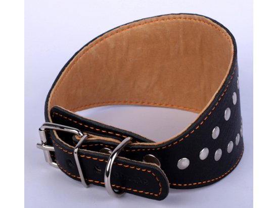 Фото 2 -  амуниция Collar БОРЗЯТНИК - Кожаный ошейник для собак с заклепками