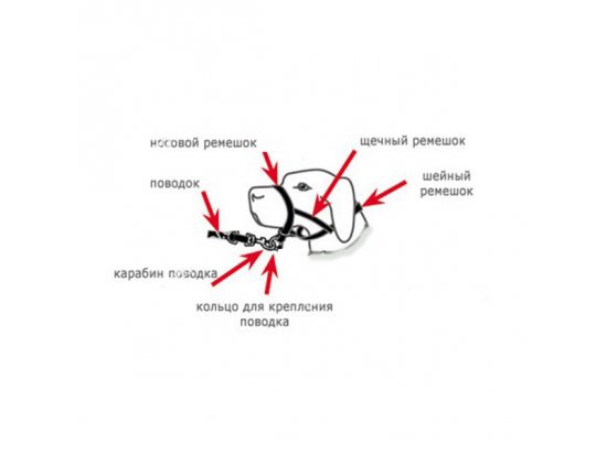 Фото - амуниция Trixie (Трикси) Недоуздок (тренировочный ошейник-уздечка) для собак